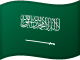 Flag of SAR